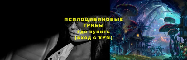 молекула духа Алексеевка