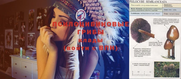 бутират Михайловка