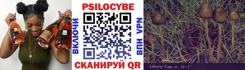 Галлюциногенные грибы прущие грибы Бердск